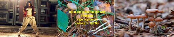 марки nbome Абаза