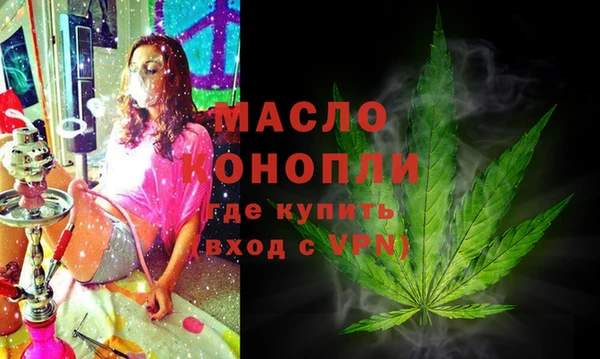 крисы Надым