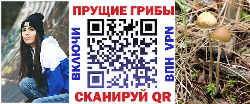 наркошоп  MEGA сайт  Галлюциногенные грибы Magic Shrooms  Нефтекамск 